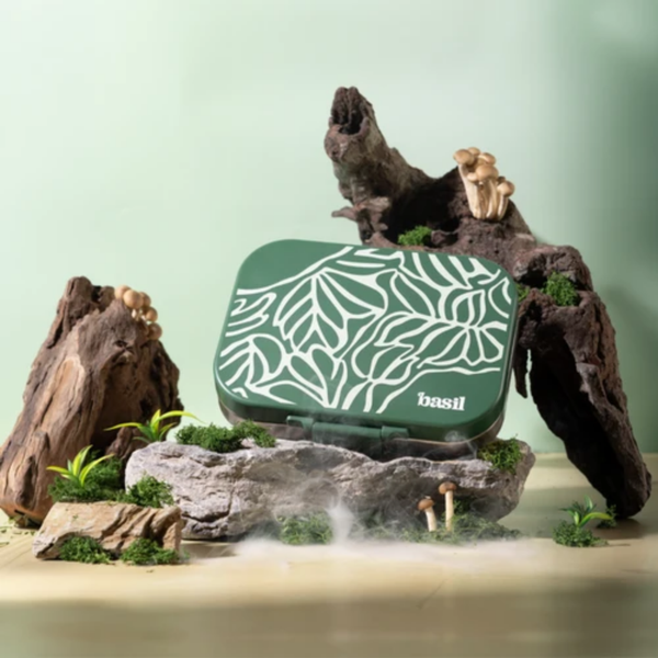 Basil 4 Compartment Stainless steel Lunchbox with Plastic lid - Emerald Moss