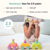 Curious Cub Montessori Wooden Play & Learning Activity Kit - Level 14 (33+M) - Dezine Kids