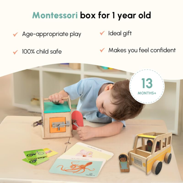 Curious Cub Montessori Wooden Play & Learning Activity Kit - Level 10 (21+M) - Dezine Kids