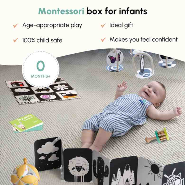 Curious Cub Montessori Wooden Play & Learning Activity Kit - Level 1 (0+M) - Dezine Kids
