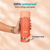 Basil Insulated Stainless steel bottle with Carry Handle - Coral Swirl