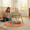 Role Play Animal Friends Play Gym - Dezine Kids