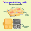 Basil 3 Compartment Stainless Steel Lunchbox with Plastic Lid - Kitty Party