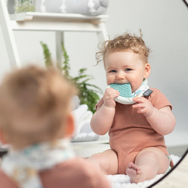 Cheeky Chompers Neckerchew - Teething Dribble Bib