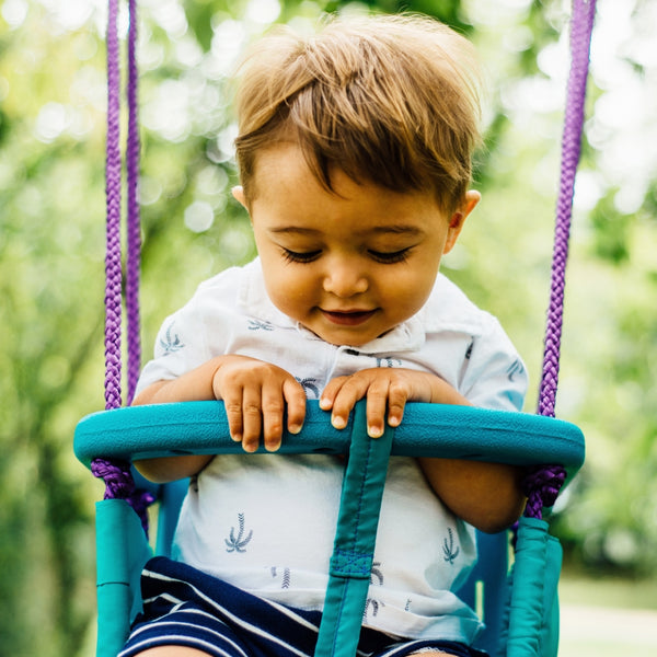 Plum Metal 2-In-1 Swing Set