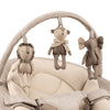 Nuna LEAF Grow Baby Swing & Bouncer - Teddy