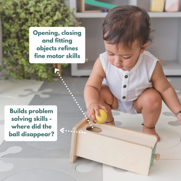 Curious Cub Montessori Wooden Play & Learning Activity Kit - Level 5 (9+M) - Dezine Kids