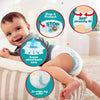 Pampers Baby Dry Nappy Pants, Size 7 - 25 Pack - Dezine Kids