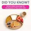 Bibado Silicone Suction Divider Plate - Fawn