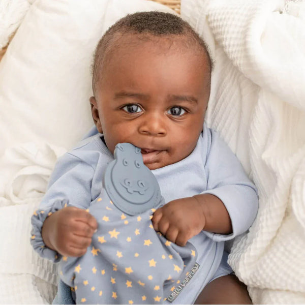 Midnight Stars Comfortchew