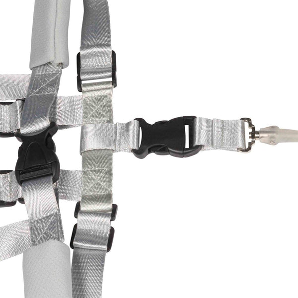 Dooky Anti Lost Safety Harness Set with Range of 2.5m for 6 to 36M - Grey
