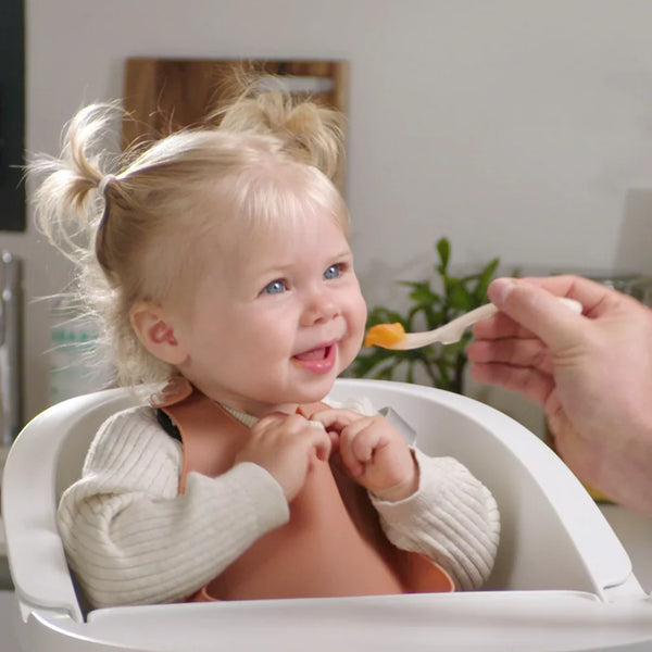 Beaba Silicone Bib - Terracotta - Dezine Kids