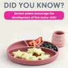 Bibado Silicone Suction Divider Plate - Blush