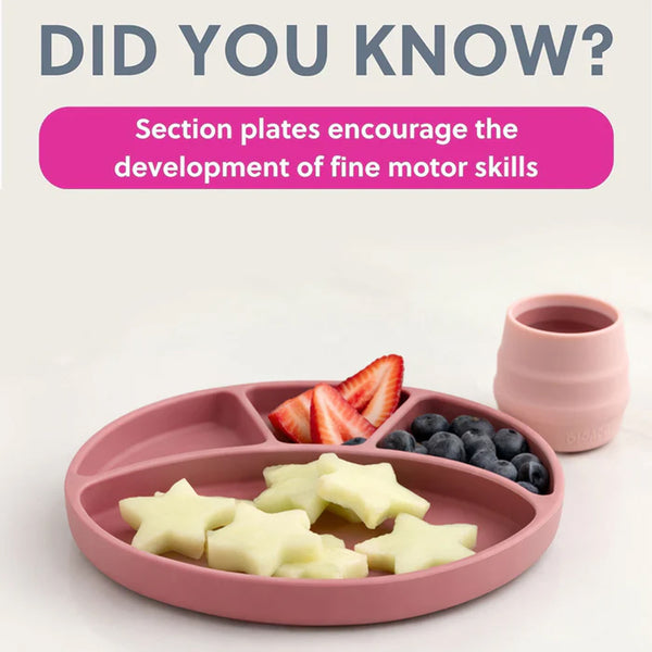 Bibado Silicone Suction Divider Plate - Blush