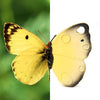 Oli & Carol Katia The Butterfly Natural Rubber Teether