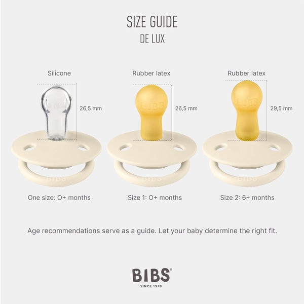 Bibs De Lux Pacifiers 2 Pack - Iron/Baby Blue