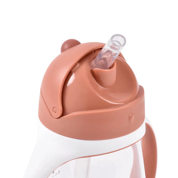 Beaba 2 in 1 Baby Sipper Water Bottle, Anti Spill Sippy Cup with Soft Silicone Straw for Toddler, Removable Handles, 300ml - Terracotta - Dezine Kids