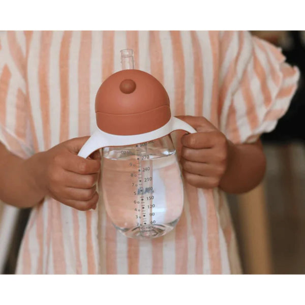 Beaba 2 in 1 Baby Sipper Water Bottle, Anti Spill Sippy Cup with Soft Silicone Straw for Toddler, Removable Handles, 300ml - Terracotta - Dezine Kids