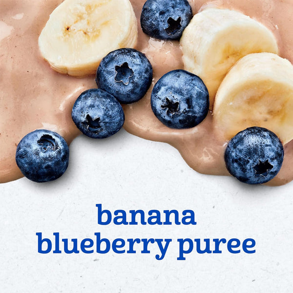 Gerber Fruit Puree - Banana Blueberry