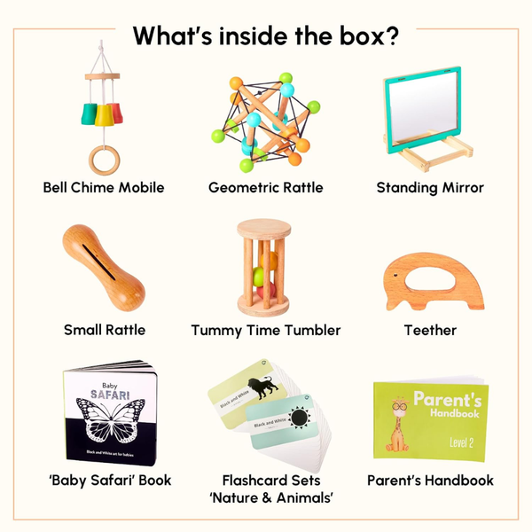Curious Cub Montessori Wooden Play & Learning Activity Kit - Level 2 (3+M) - Dezine Kids
