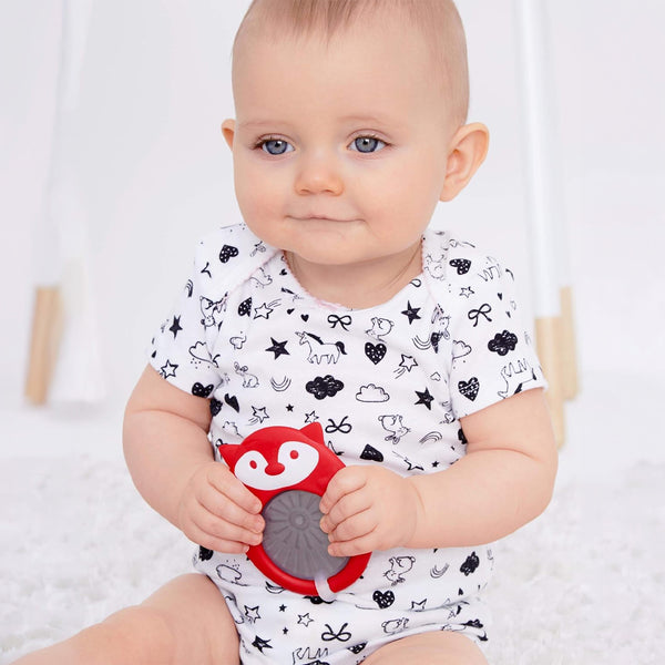 Skip Hop E&M Stay Cool Teether & Rattle - Fox