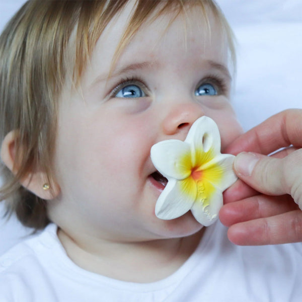 Oli & Carol Hawaii The Flower Chewy Teether