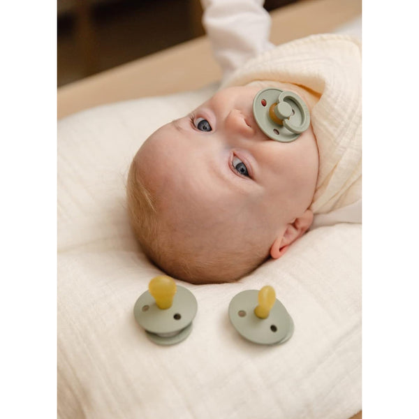 Bibs Colour Pacifiers 2 Pack - Nordic Mint/Forest Lake