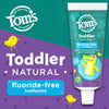 Tom's Fluoride Free Toddler Training Natural Mild Fruit Flavour Toothpaste - 49.6g