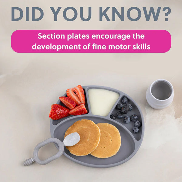 Bibado Silicone Suction Divider Plate - Mist