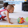 Nuluv Activity Ball for Kids Learning and Activity Playball, Infant, and Preschool Toy