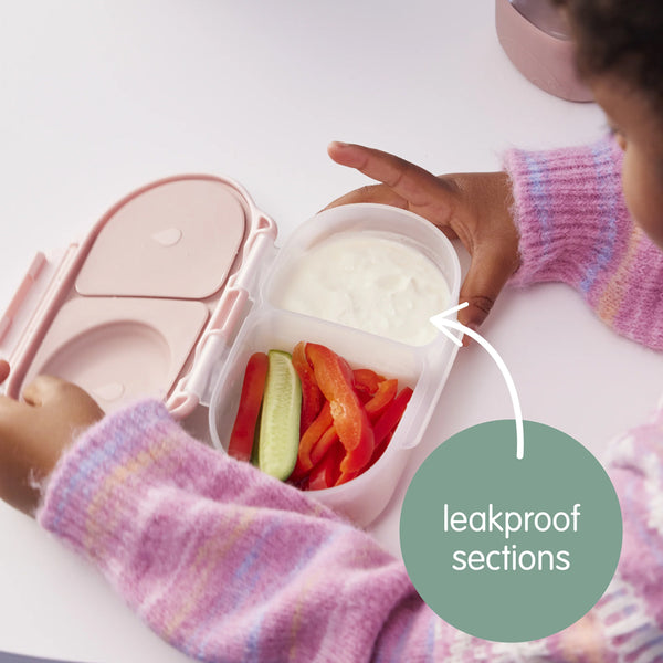 B.Box Leak Proof 2 sections Snackbox for Toddlers