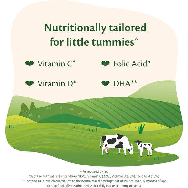 Hipp Organic 2 FollowOn Baby Formula 6-12 Months 800g