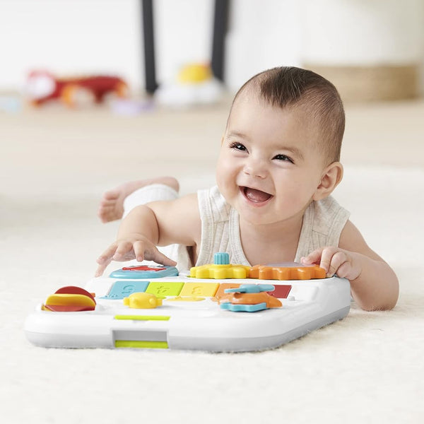 Skip Hop Explore & More 4 In 1 Grow Along Activity Walker Baby Toy