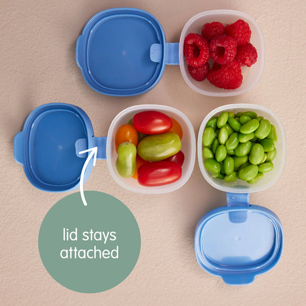 B.Box Snack Tubs - Ocean Blue