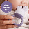 B.Box Chill Plus Fill Bunny Teether - Peony Purple