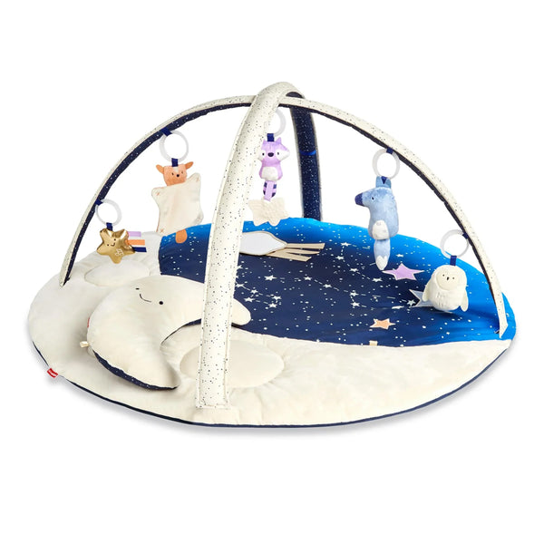 Skip Hop Celestial Dreams Activity Gym
