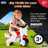 Chicco Ducati Monster Sit N Ride