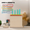 Curious Cub Coin & Peg Box Wooden Montessori Learning Toy - Dezine Kids