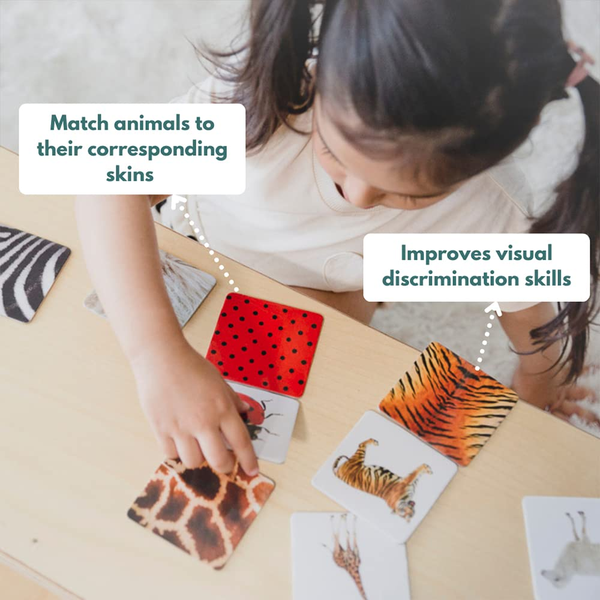 Curious Cub Montessori Wooden Play & Learning Activity Kit - Level 14 (33+M) - Dezine Kids