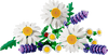 Lego Botanicals Daisies Flower Decor Building Set for Kids - Dezine Kids