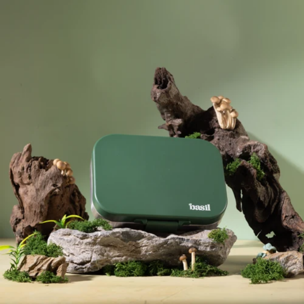 Basil 4 Compartment Stainless steel Lunchbox with Plastic lid - Wild Wood