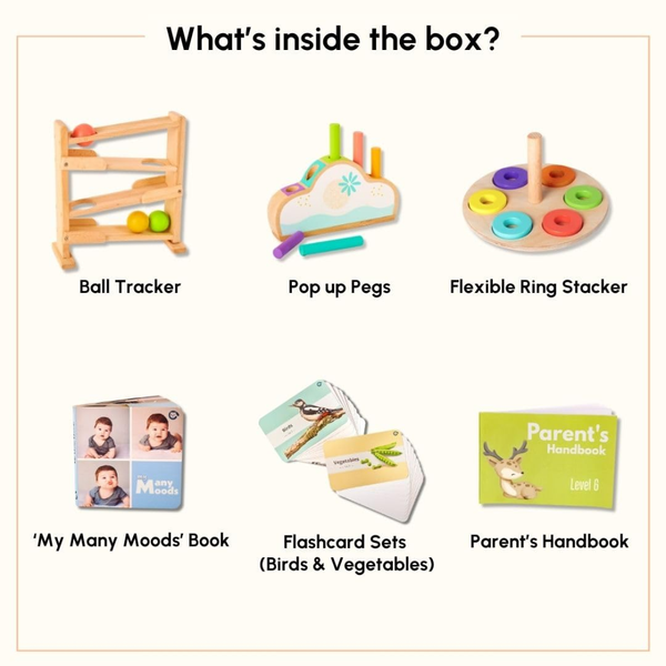 Curious Cub Montessori Wooden Play & Learning Activity Kit - Level 6 (11+M) - Dezine Kids