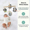 Curious Cub Montessori Wooden Play & Learning Activity Kit - Level 1 (0+M) - Dezine Kids