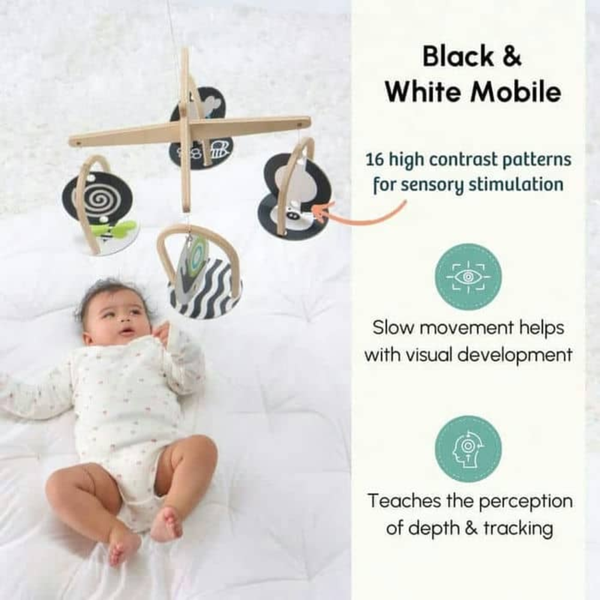 Curious Cub Montessori Wooden Play & Learning Activity Kit - Level 1 (0+M) - Dezine Kids
