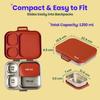 Basil 3+1 Compartment Stainless steel Lunchbox with Mini Box - Desi Mitti
