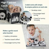 Curious Cub Montessori Wooden Play & Learning Activity Kit - Level 1 (0+M) - Dezine Kids