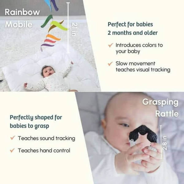 Curious Cub Montessori Wooden Play & Learning Activity Kit - Level 1 (0+M) - Dezine Kids
