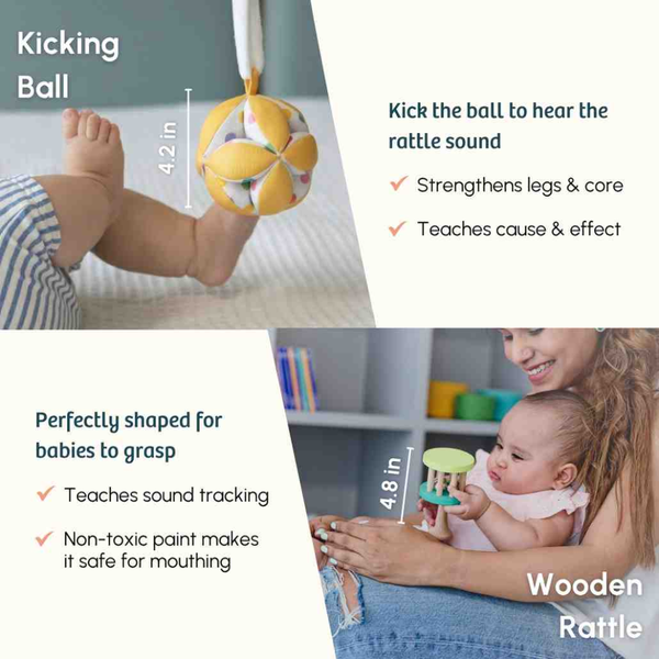 Curious Cub Montessori Wooden Play & Learning Activity Kit - Level 1 (0+M) - Dezine Kids