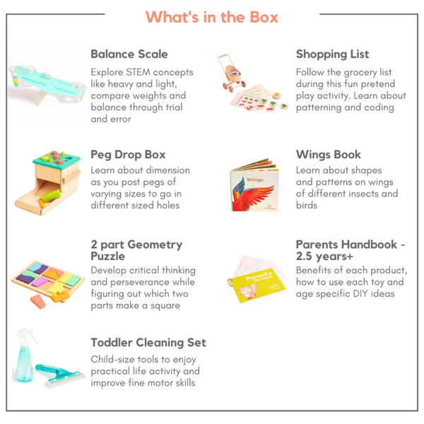 Curious Cub Montessori Wooden Play & Learning Activity Kit - Level 13 (30+M) - Dezine Kids