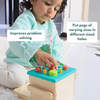 Curious Cub Montessori Wooden Play & Learning Activity Kit - Level 13 (30+M) - Dezine Kids